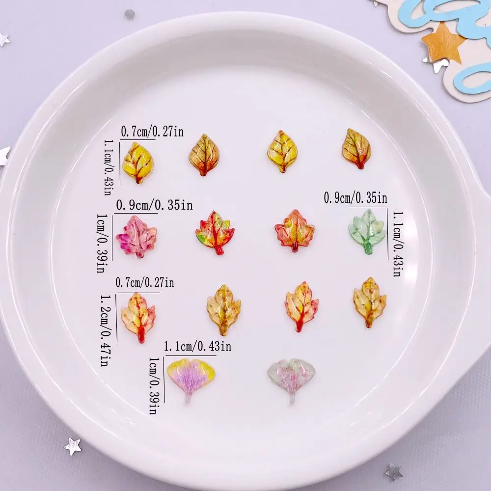 50pcs ผสมเรซิ่นมินิคริสตัล Map - Paradise Jewelry & Watches Llc Miami Reviews บทวิจารณ์และราคา
